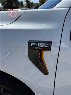 فۆرد F-150